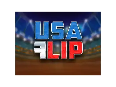 USA 플립